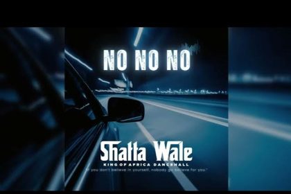 Shatta Wale - No No No