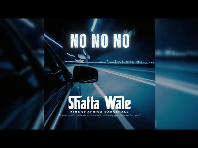 Shatta Wale - No No No