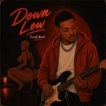Cool Boii – Down Low