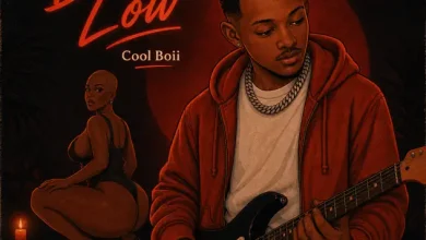 Cool Boii – Down Low