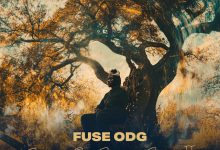 Fuse ODG - Spirit of New Africa II [Full Album]