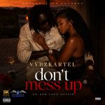 Vybz Kartel – Don’t Mess Up