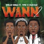 Willie Kings – Wann (Remix) Ft. Ypee & Cojo Rae