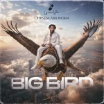 Lyrical Joe – Oheneba Abronoma (Big Bird)