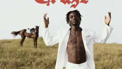 Dikoo – STF Craze