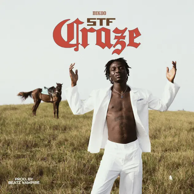Dikoo – STF Craze