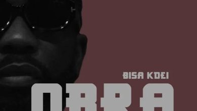 Bisa Kdei – Obra
