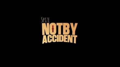 Spize – Not By Accident - EP