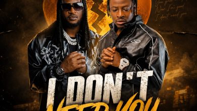 Fancy Gadam ft Rudeboy – I Don't Need You