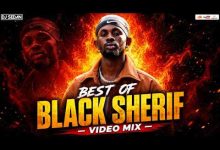 DJ Sedan - Best Of Black Sherif (Video Mix)