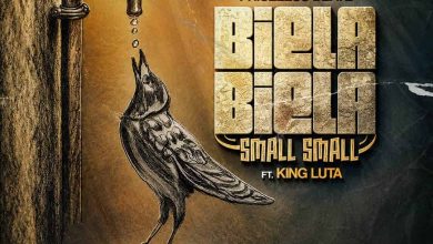 Priceless Beatz ft. King Luta – Biela Biela