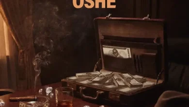 Wande Coal – Oshe ft. Wizkid